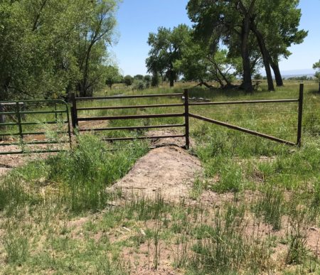 Pulling barbed store wire fence